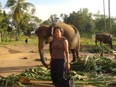 Me_and_a_big_elephant